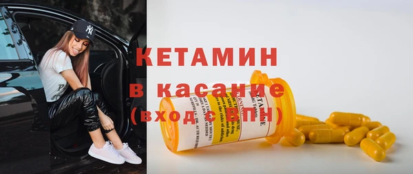 шишки Аркадак