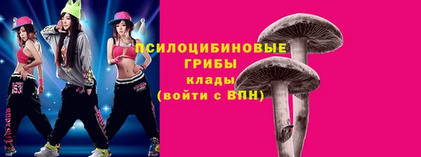 ГАЛЛЮЦИНОГЕННЫЕ ГРИБЫ Алексин