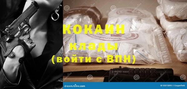 ГАЛЛЮЦИНОГЕННЫЕ ГРИБЫ Алексин